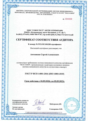 Сертификат аудитора 1